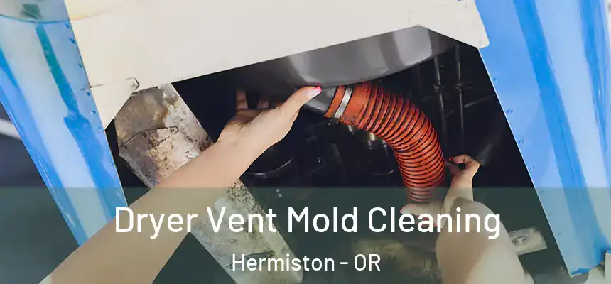  Dryer Vent Mold Cleaning Hermiston - OR