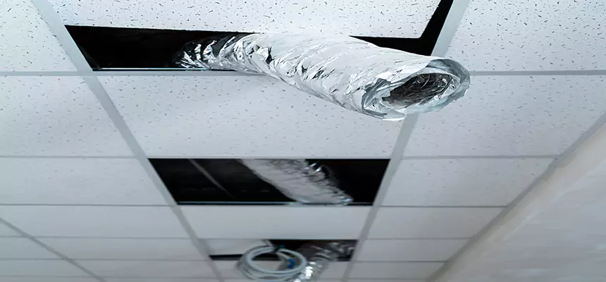 Our Air Duct Pet Hair Removal Services in Hermiston, OR