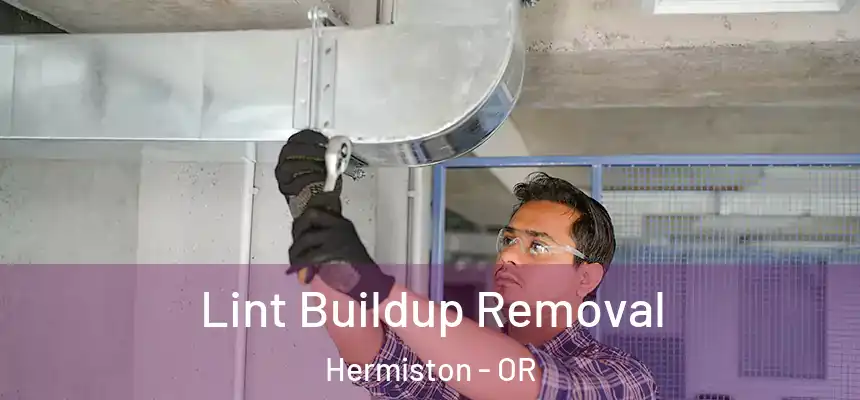 Lint Buildup Removal Hermiston - OR