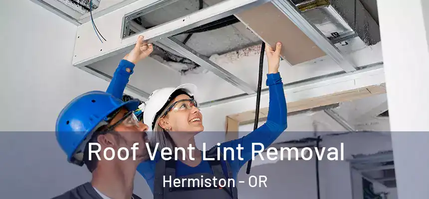  Roof Vent Lint Removal Hermiston - OR
