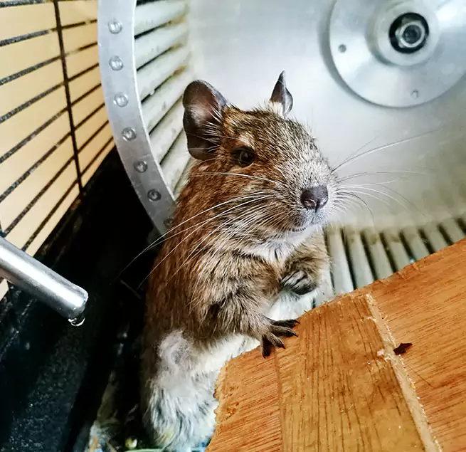 Why Homeowners & Businesses Trust Us Hermiston, OR?